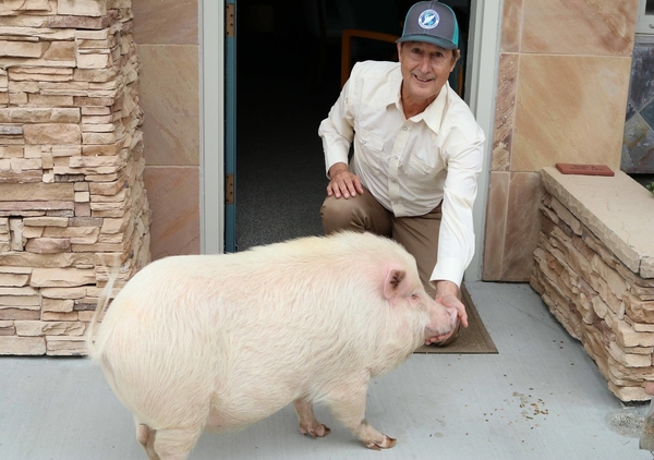 stuart grauer interview