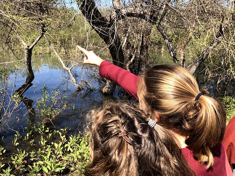 grauer students in nature