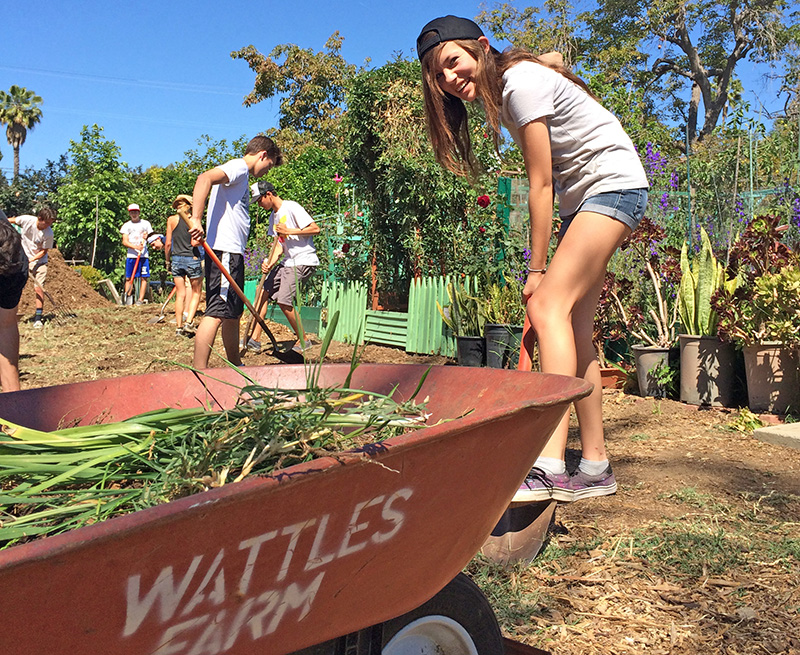 a small school student working on a garden farm