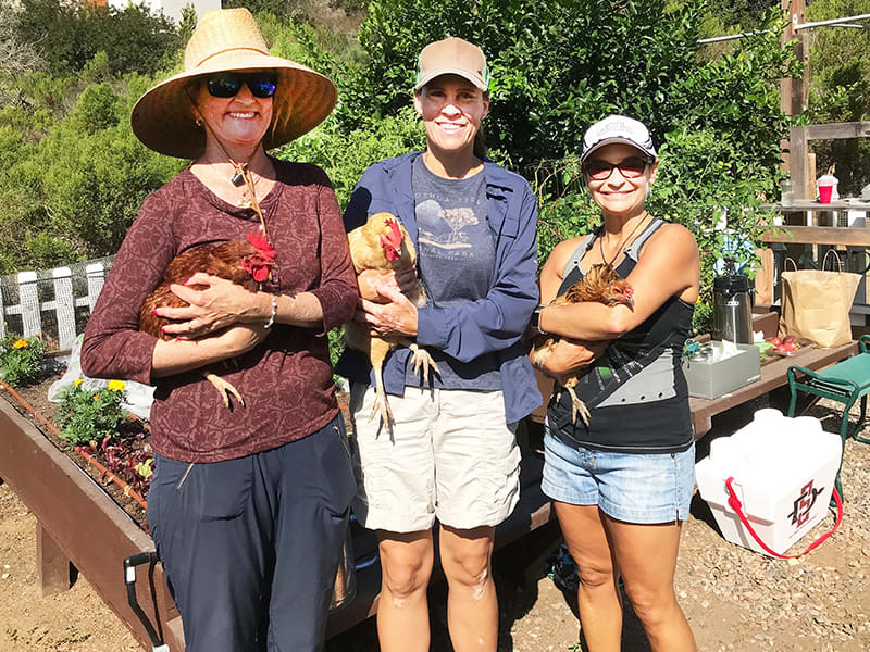 grauer gardeners with livestock