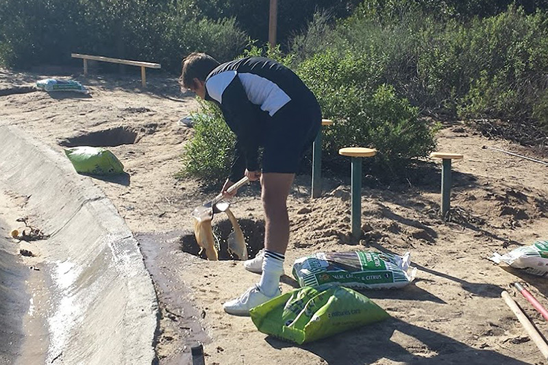 grauer student performing community service