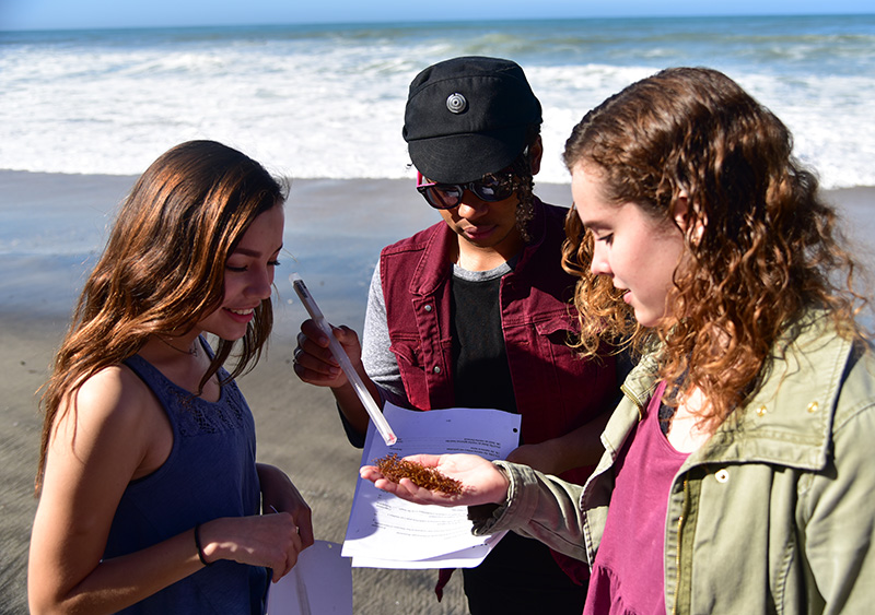 environmental science students analyzing ocean water