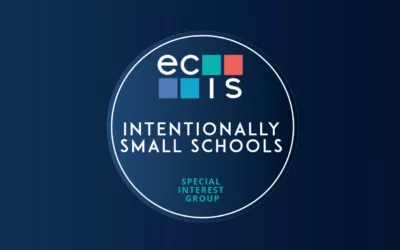 Decoding Brilliance: Unveiling the Magic of Intentionally Small Schools