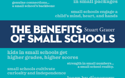Small Schools Whitepaper: A Meta Study on the Benefits of Small Schools