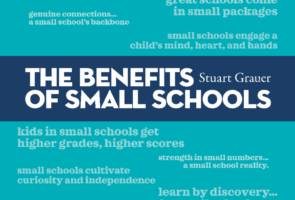 https://smallschoolscoalition.org/wp-content/uploads/2023/07/Benefits-of-Small-Schools-Whitepaper-994x675.png