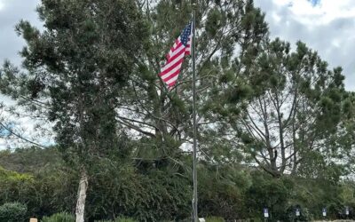 Guarding the Flag with Rogelio