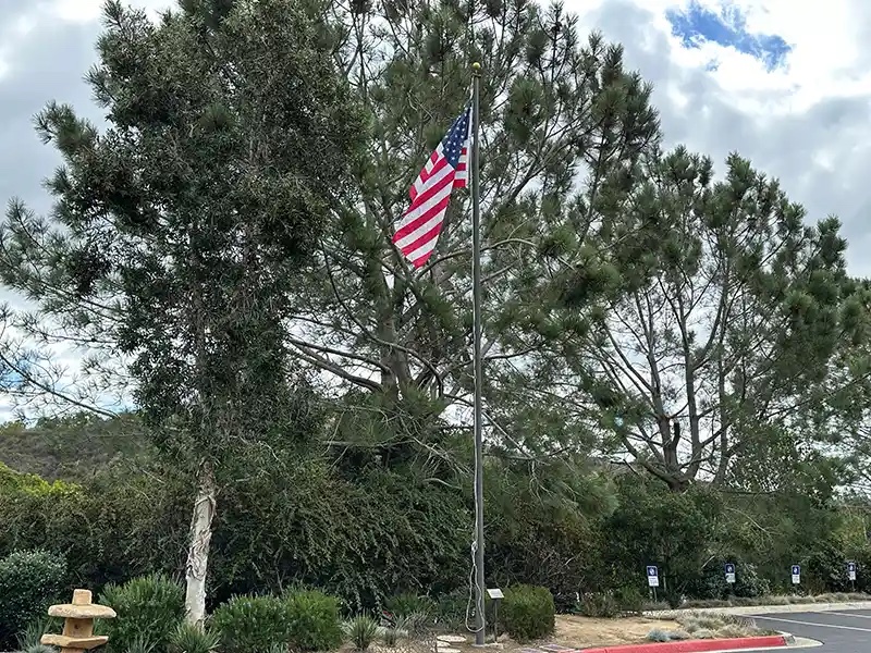 Guarding the Flag with Rogelio